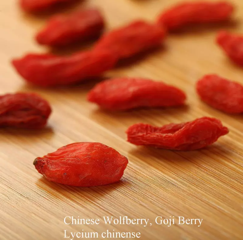Goji Berry - /data/6342607/wolfberry-dried.jpeg